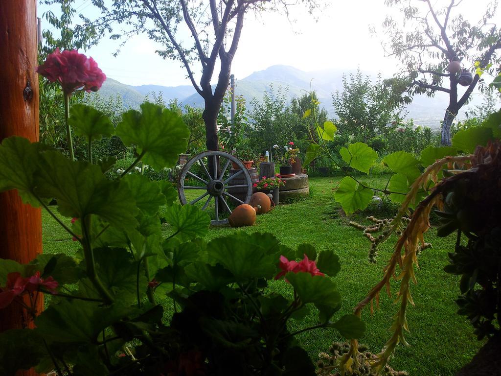 Къща За Гости Каза Роза - Swiss Style Chalet Casa Rosa Guest House 丘斯滕迪尔 客房 照片